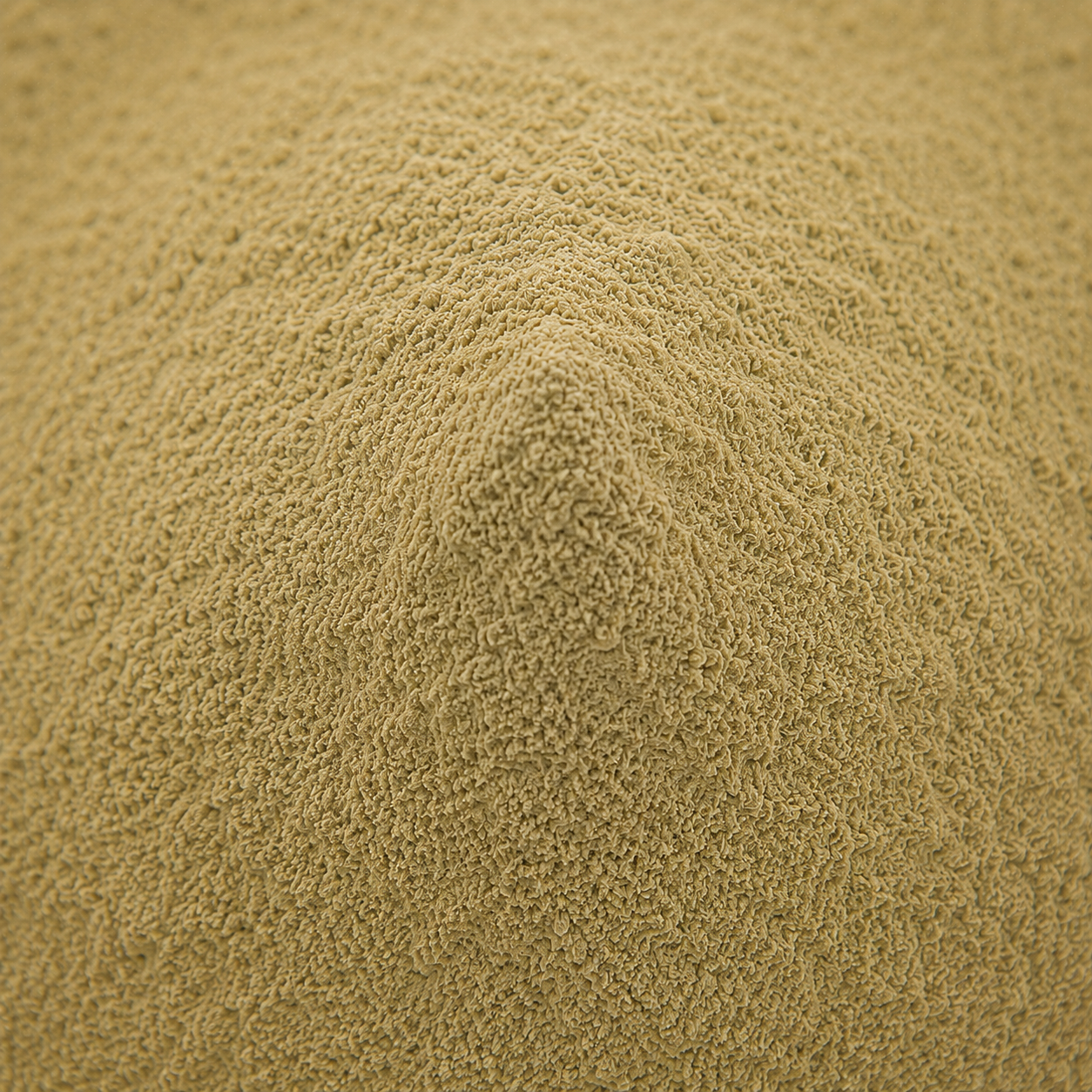Yarrow Flower Powder