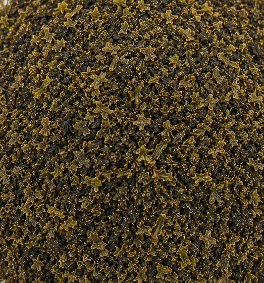 Bladderwrack C/S