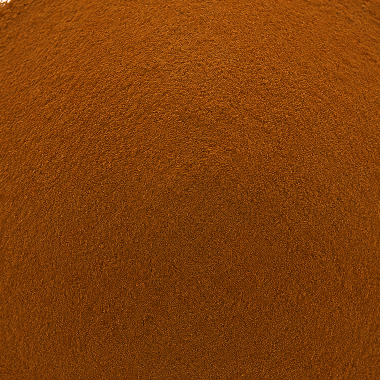 Chaga Mushroom Extract 40% Powder