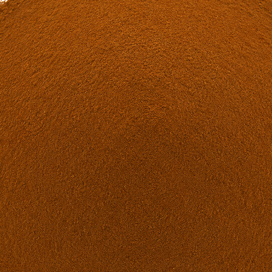 Chaga Mushroom Extract 40% Powder