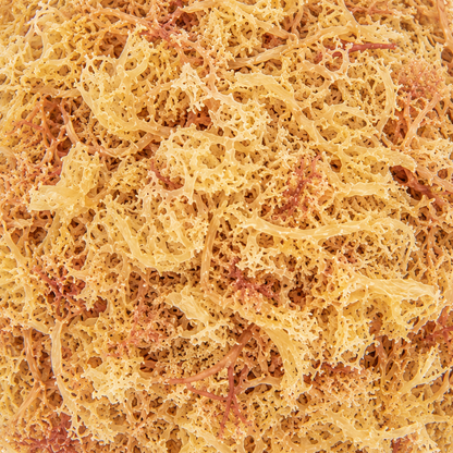 Irish Moss Flakes