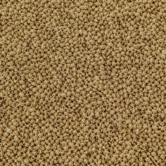 Ajwain Seed Whole