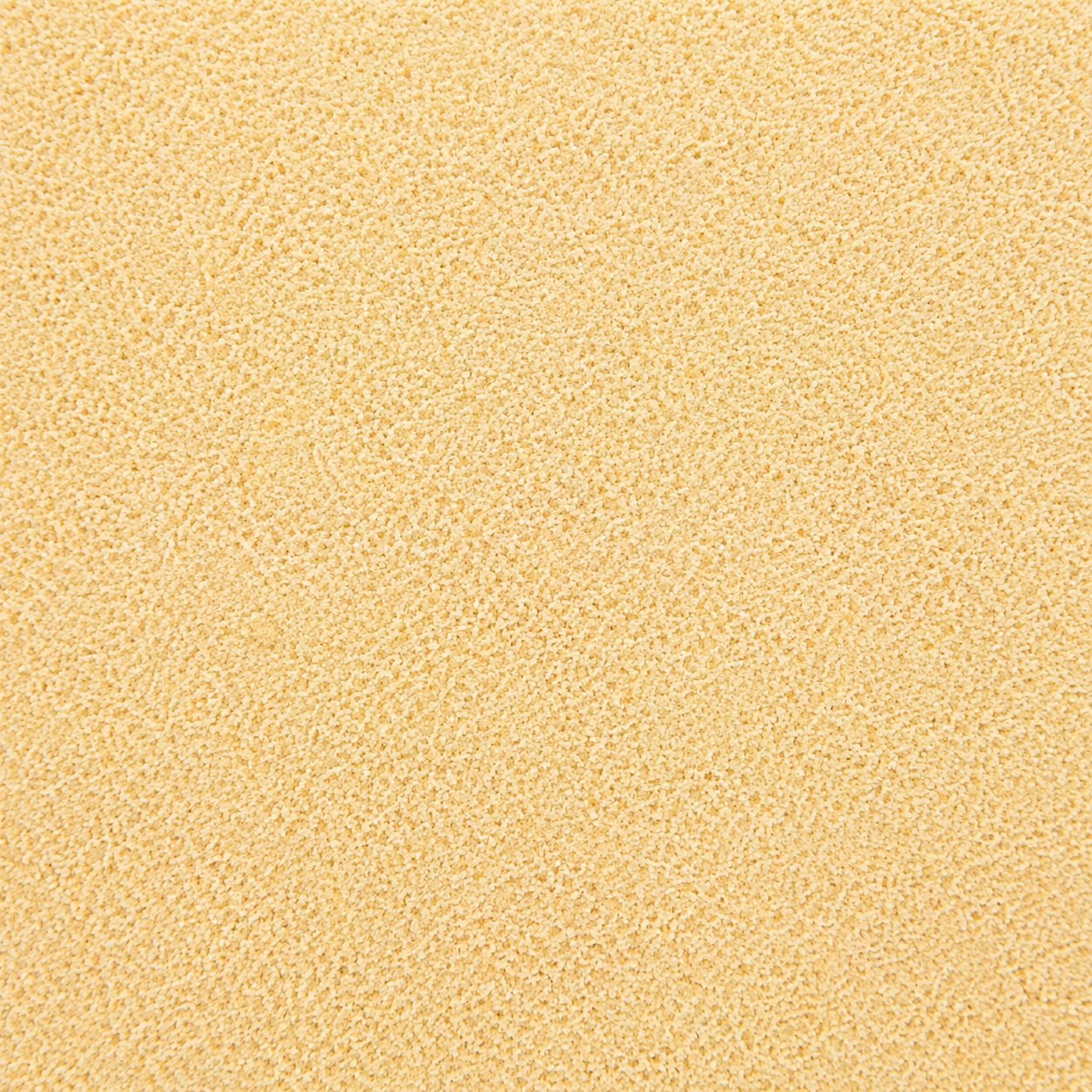 Garlic Granulated