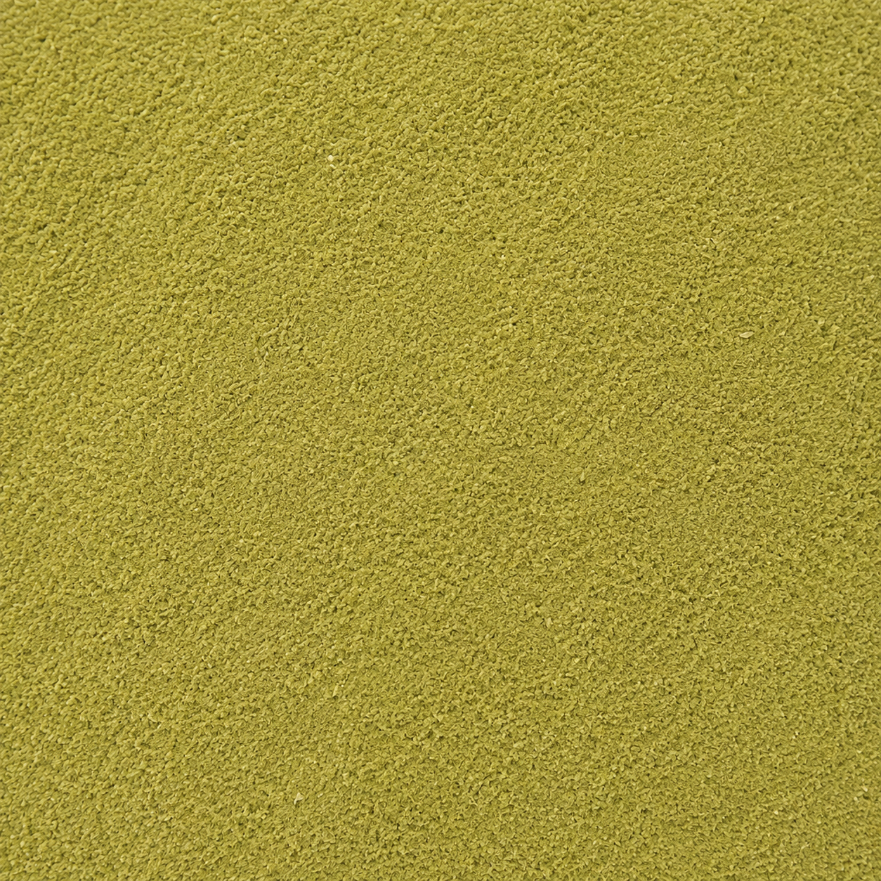 Rosemary leaves Powder