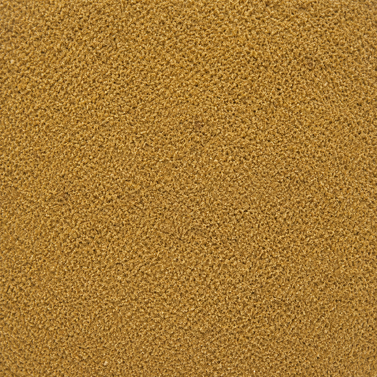 Onion Powder