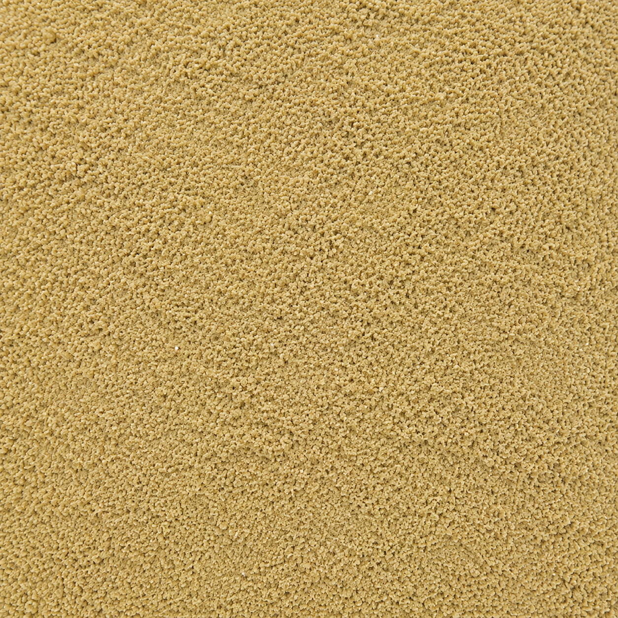 Anise seed Powder