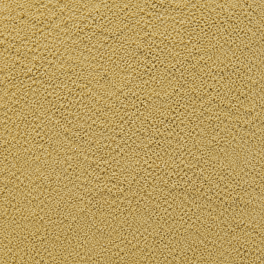 Anise seed Powder