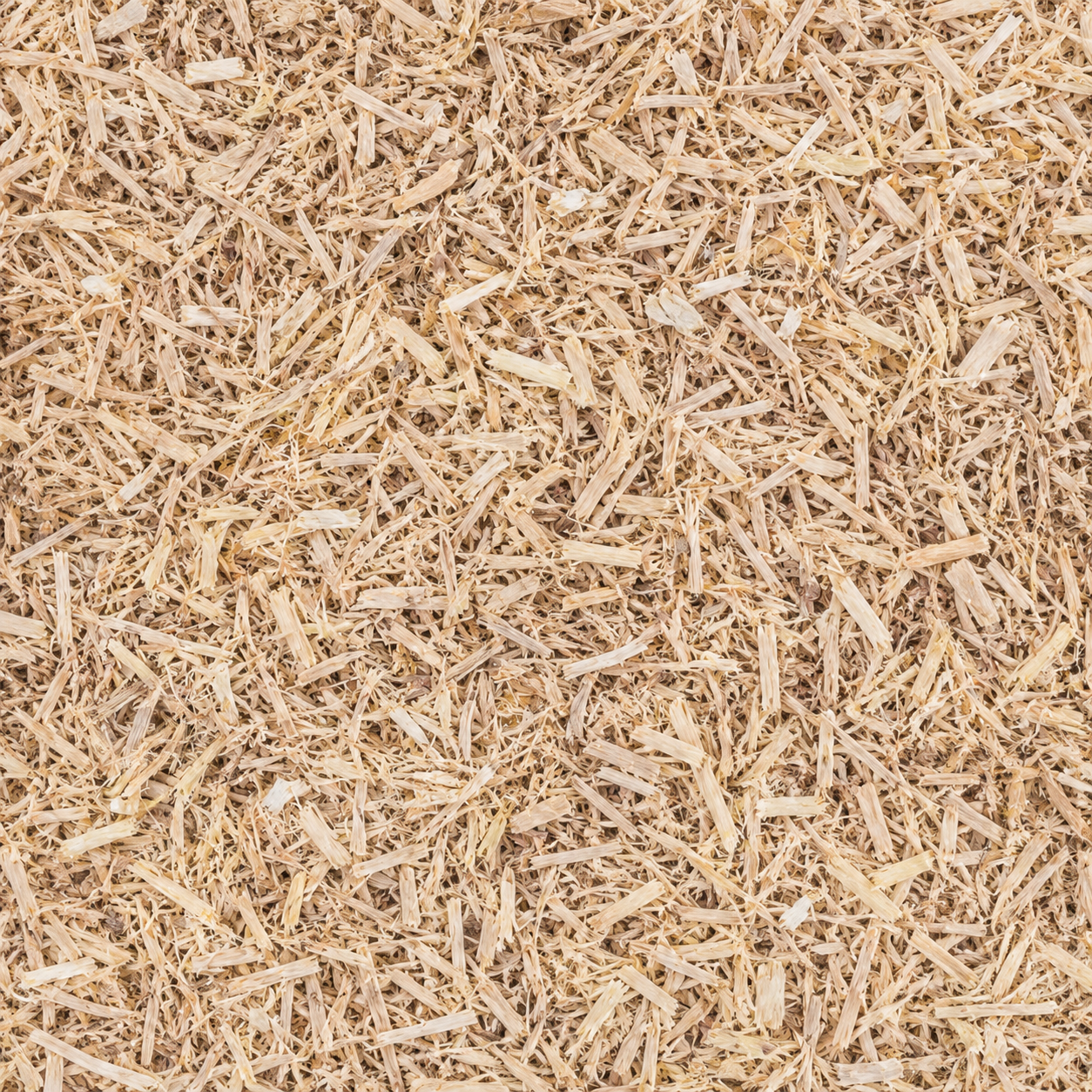 Ginseng Siberian C/S