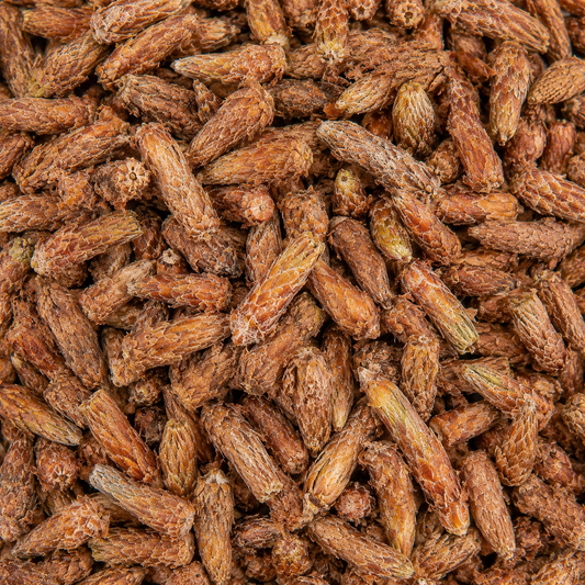 Pine Buds