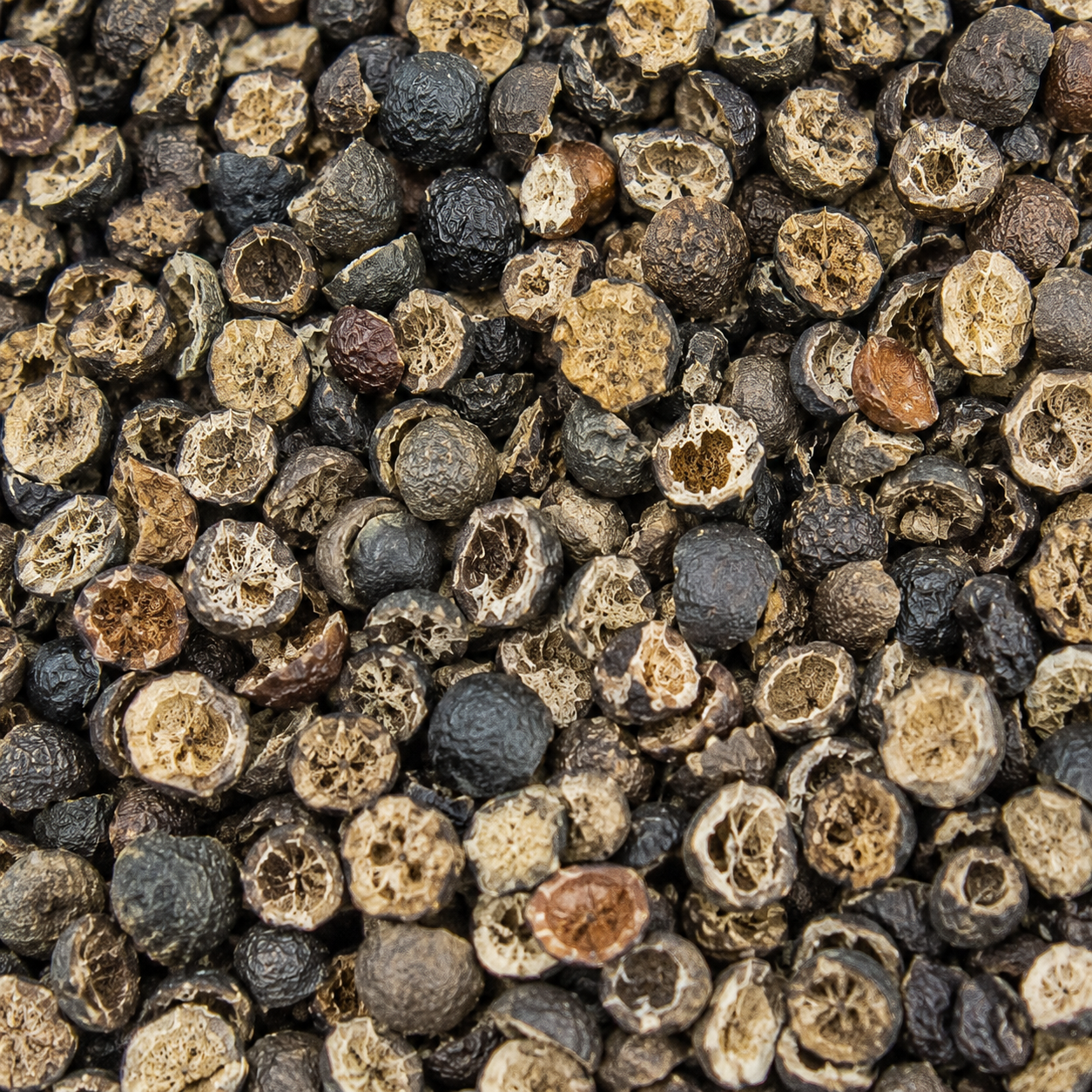Saw Palmetto Berries C/S