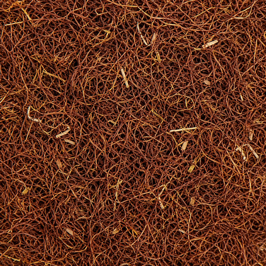 Cornsilk C/S