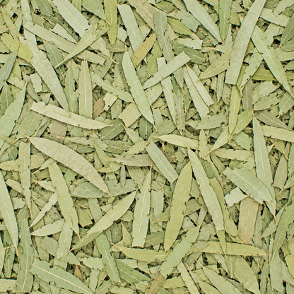 Eucalyptus Leaves C/S