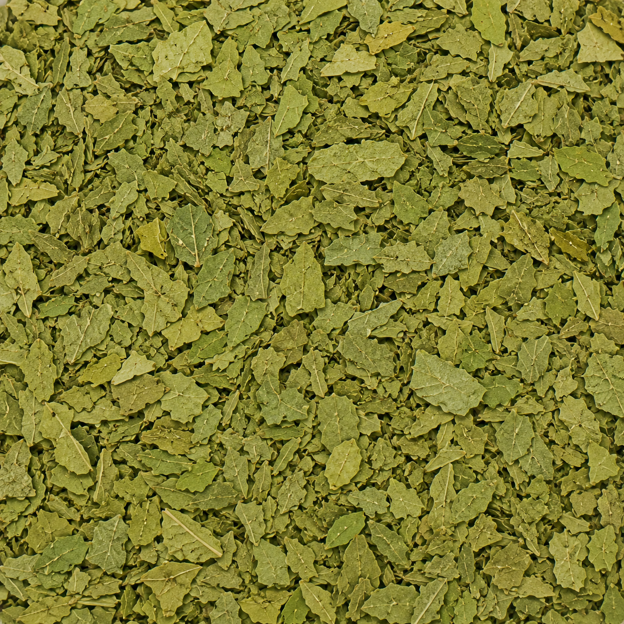 Fenugreek Leaves C/S