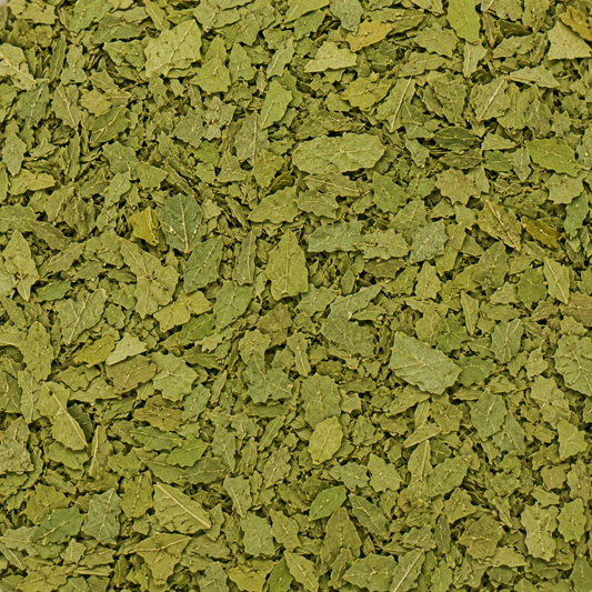 Fenugreek Leaves C/S