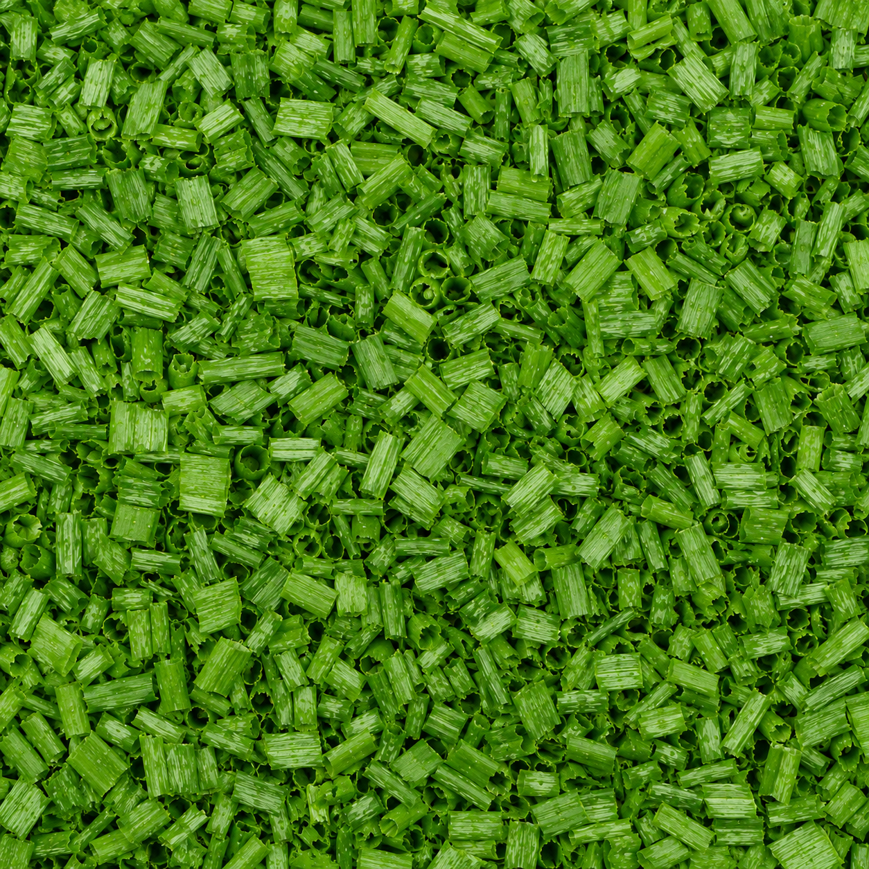 Chives