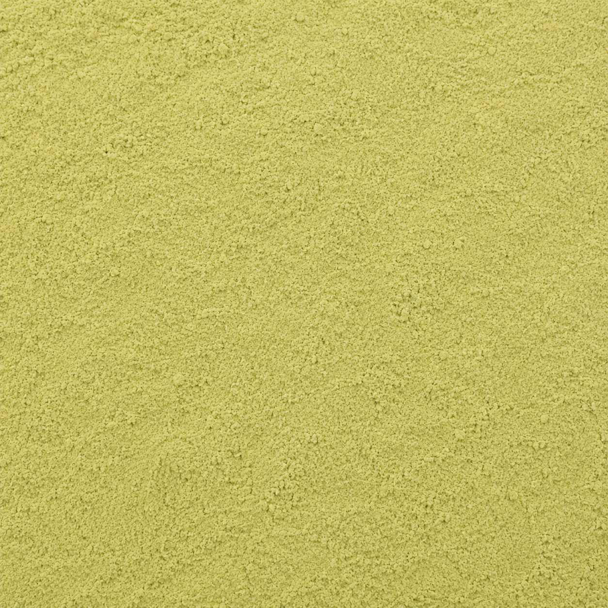 Ginkgo Leaves Powder