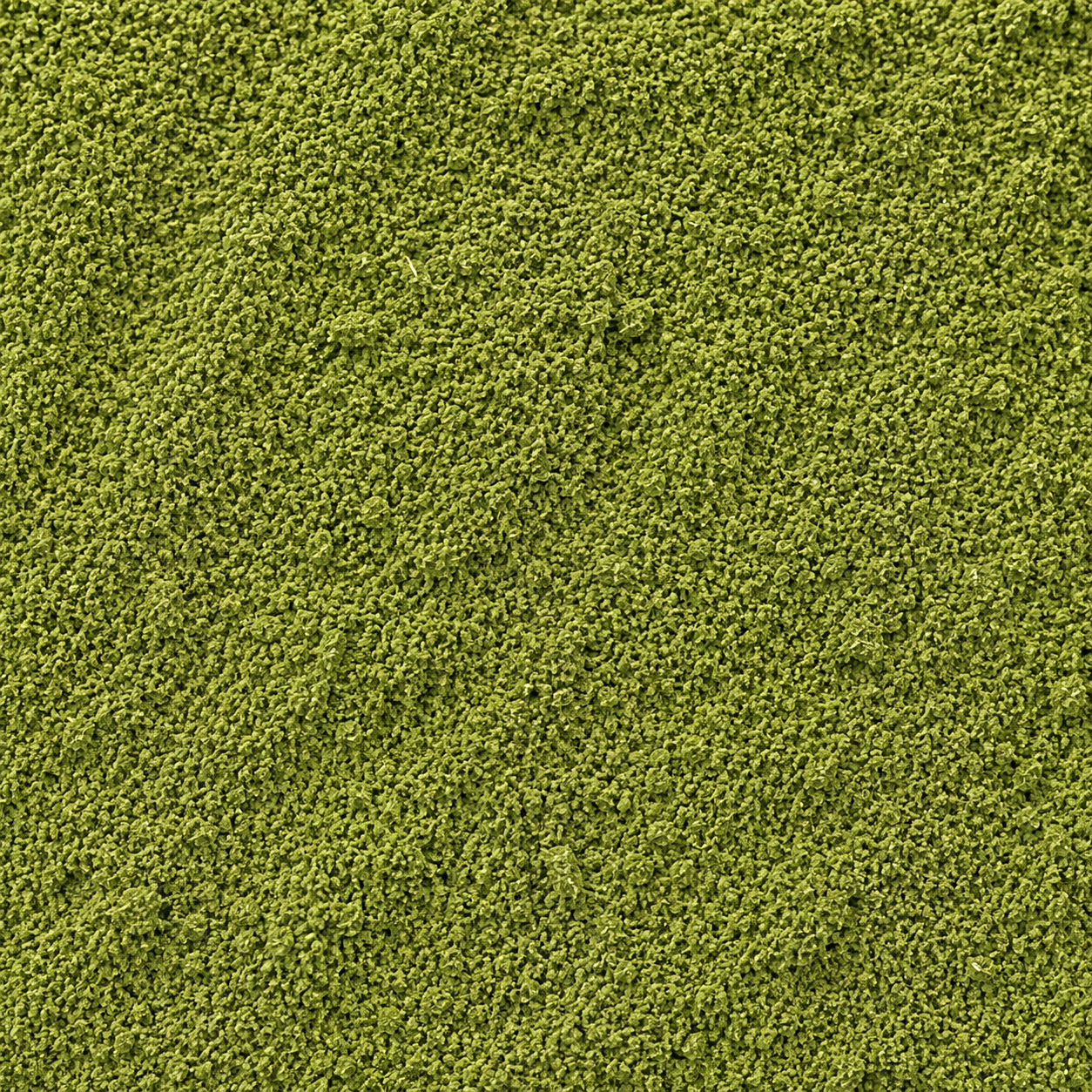 Moringa Leaves Powder