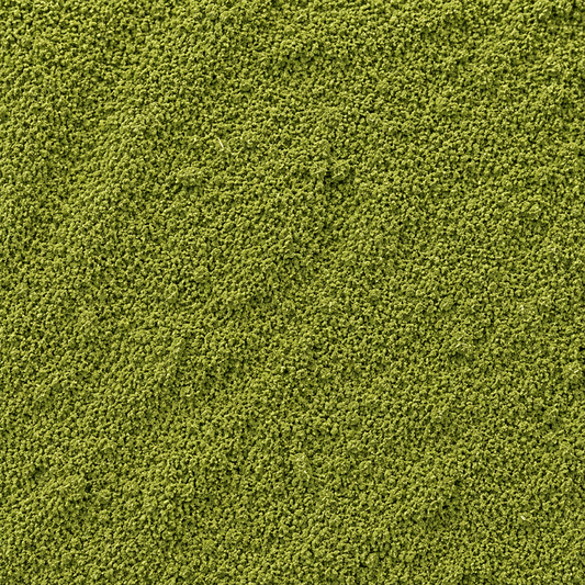 Moringa Leaves Powder