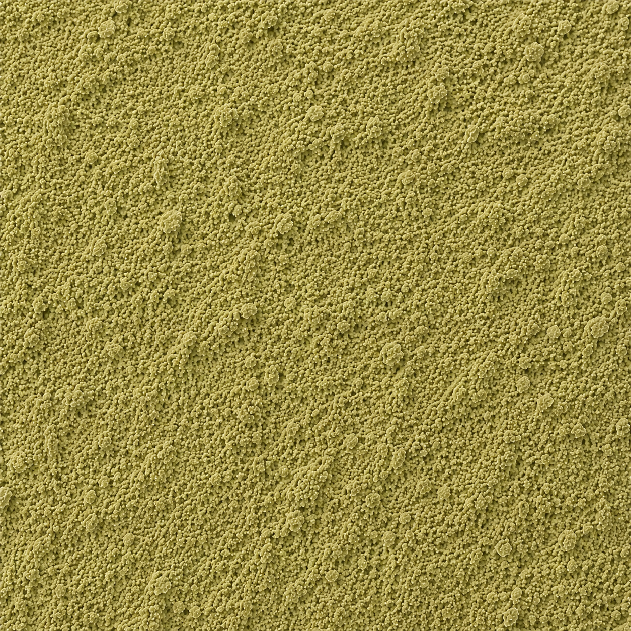 Mullein Leaves Powder