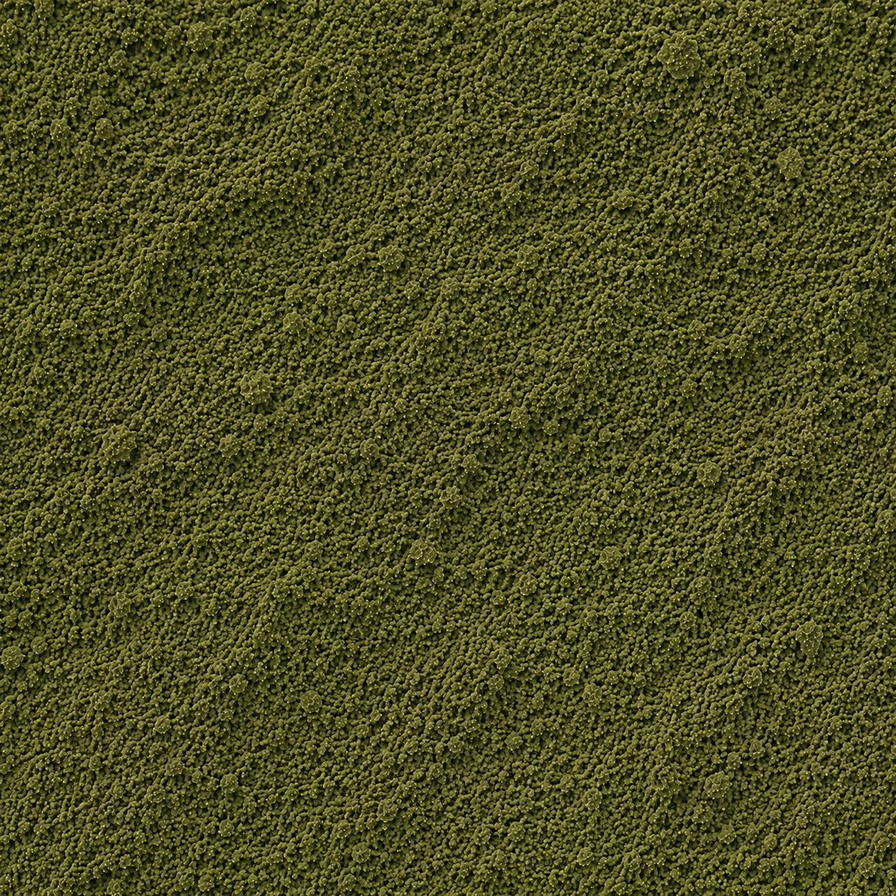 Nettle Leaves Powder