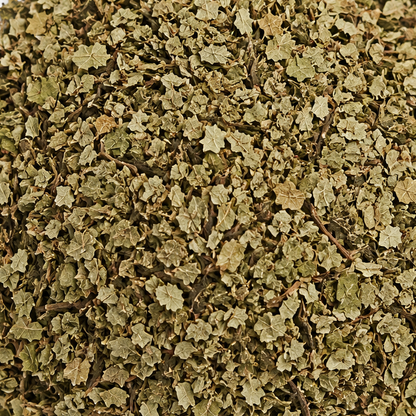 Birch Leaves C/S