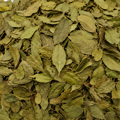 Buchu Leaves Whole
