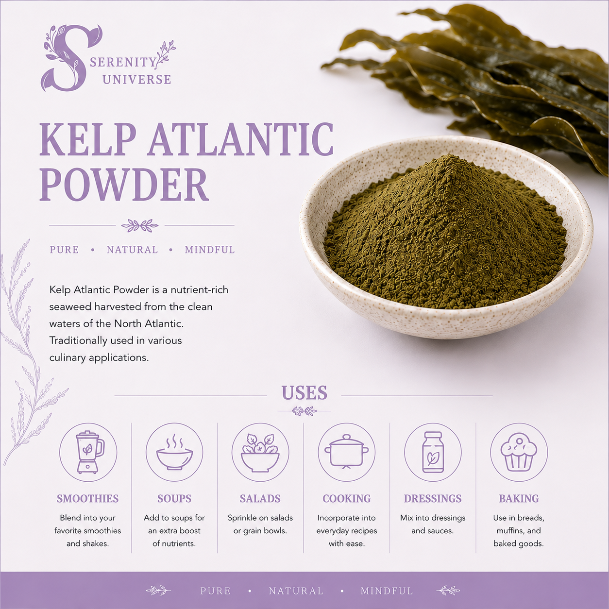 Kelp Atlantic Powder (Seaweed Powder)