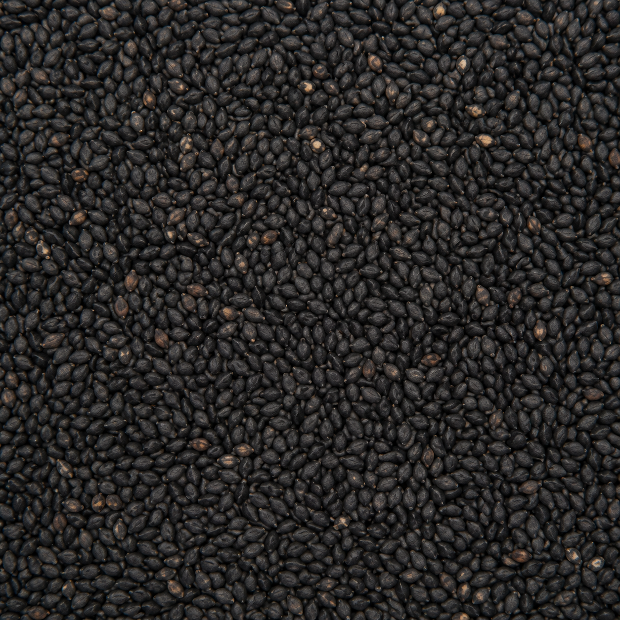 Black Sesame Seeds