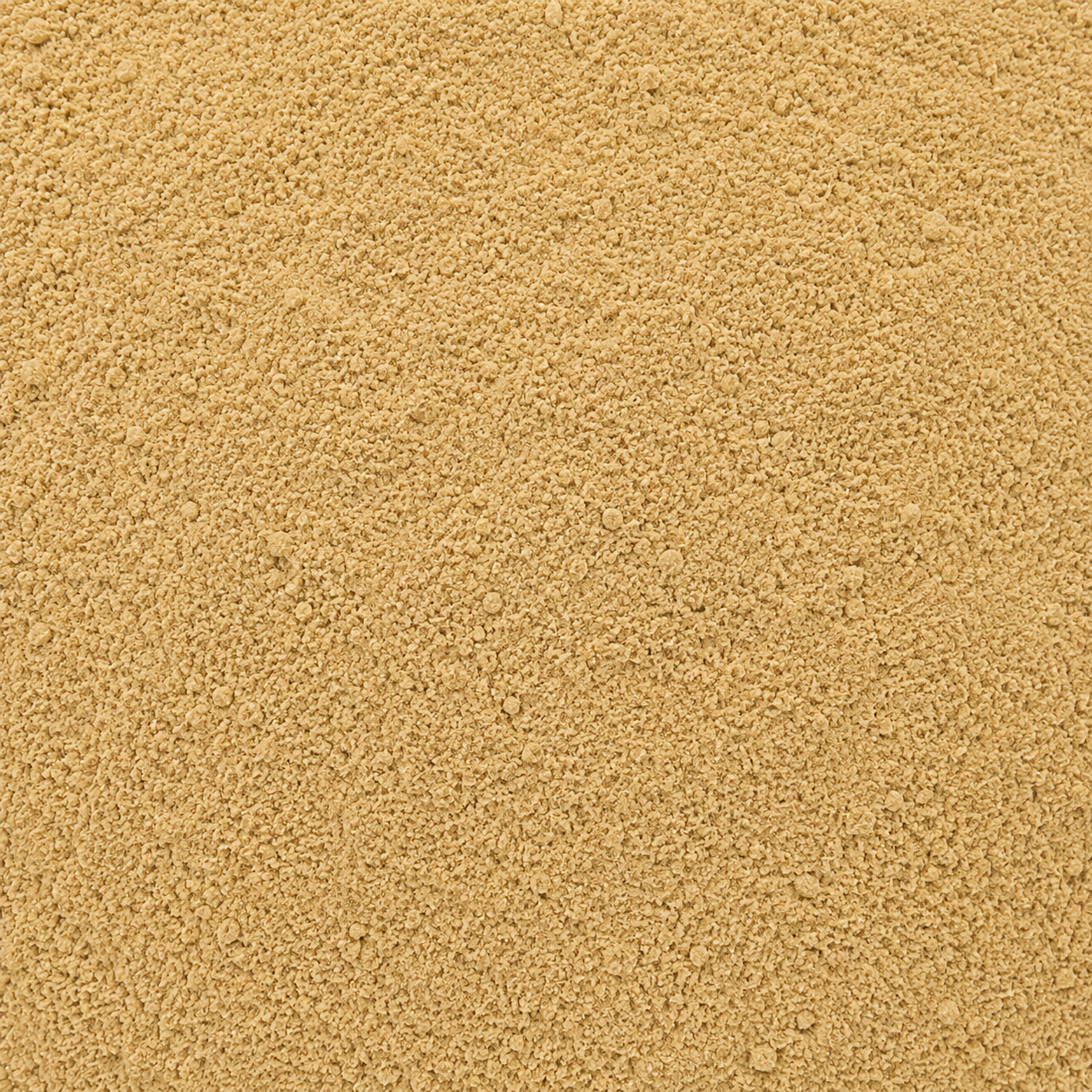 Amchur Powder