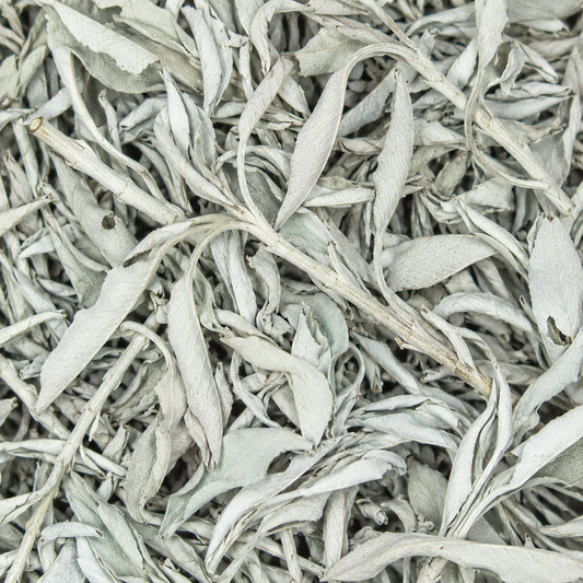 Sage Leaf White (Ceremonial)