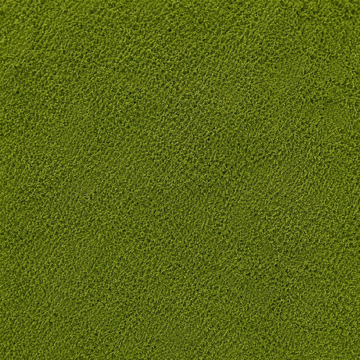 Parsley Leaves Powder