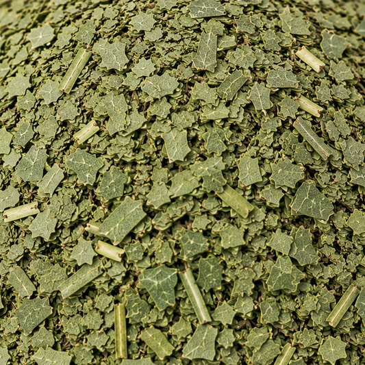 Eucalyptus Leaves C/S