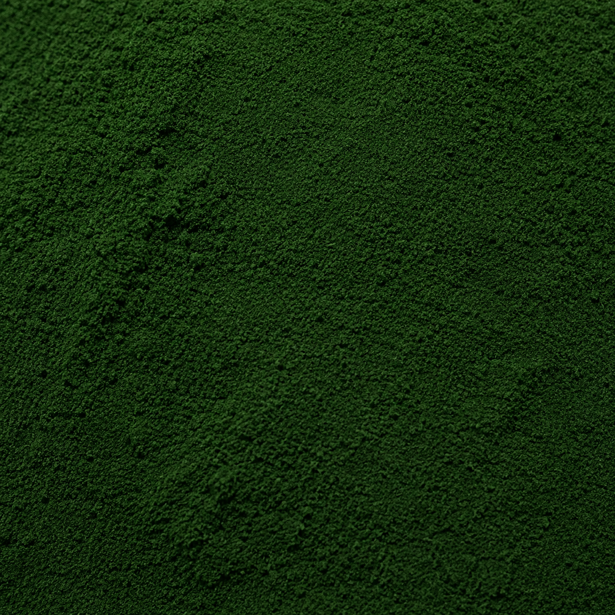 Chlorella Powder