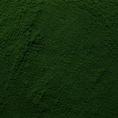 Chlorella Powder