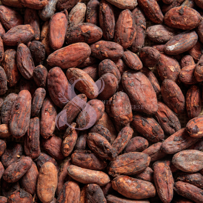 Cocoa Beans