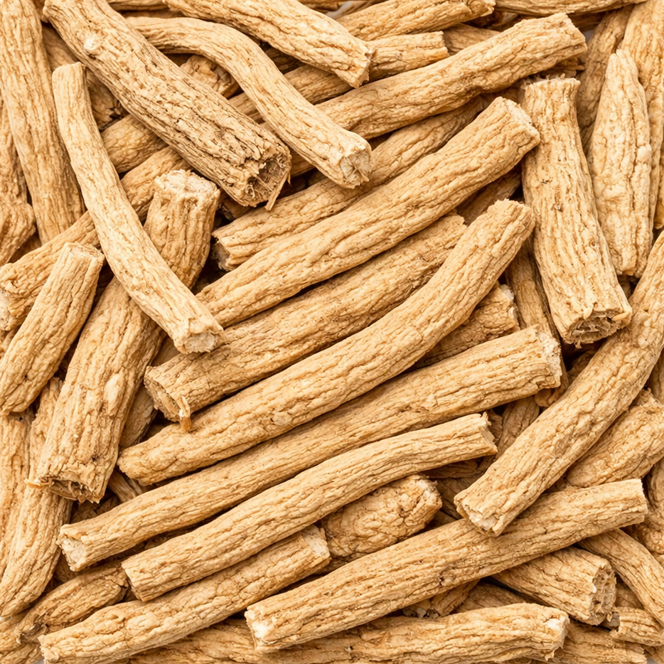 Codanopsis Root Whole