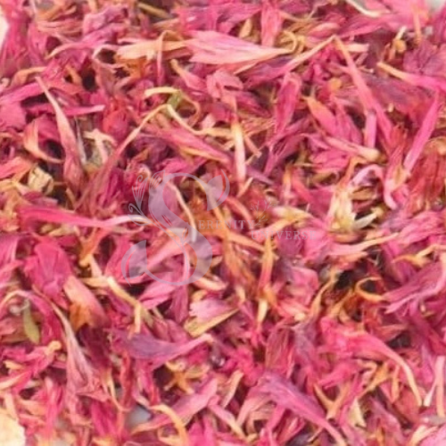 Cornflower Petals Pink