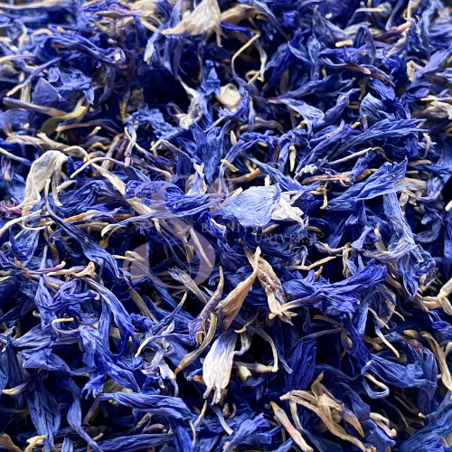 Cornflower Petals Purple