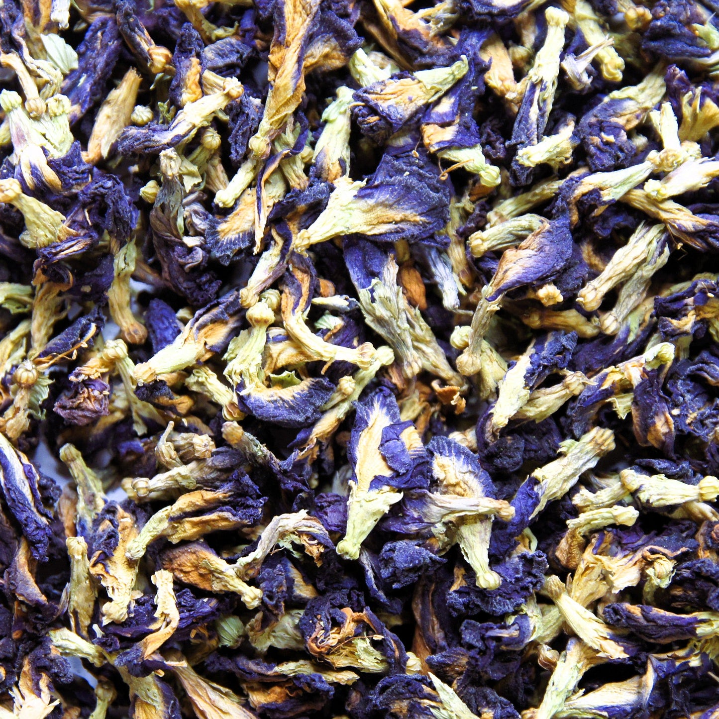 Butterfly Pea Flower