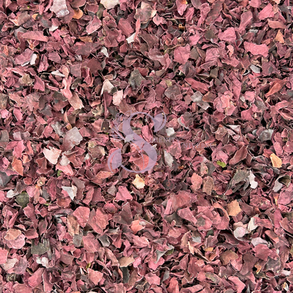 Dulse Flakes