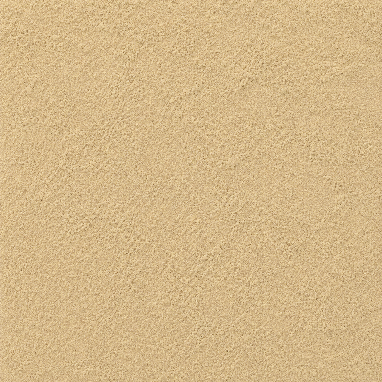 Echinacea Angustifolia Root Powder