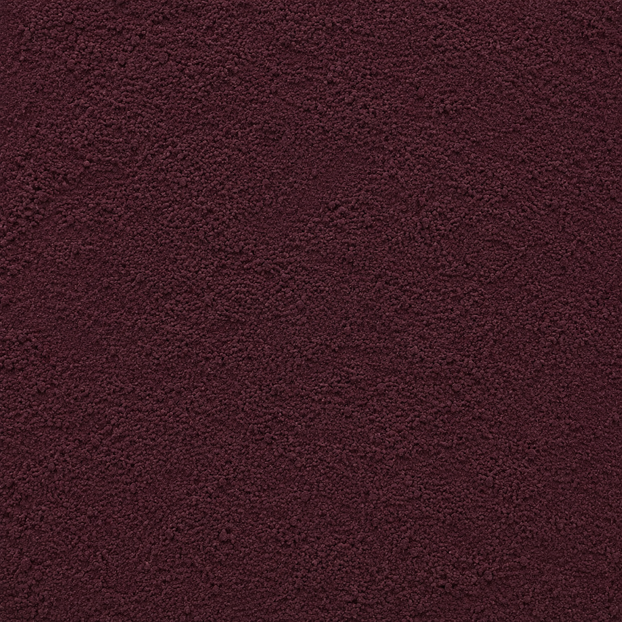 Elderberry Powder
