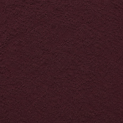 Elderberry Powder