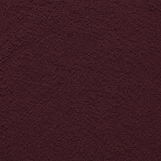 Elderberry Powder