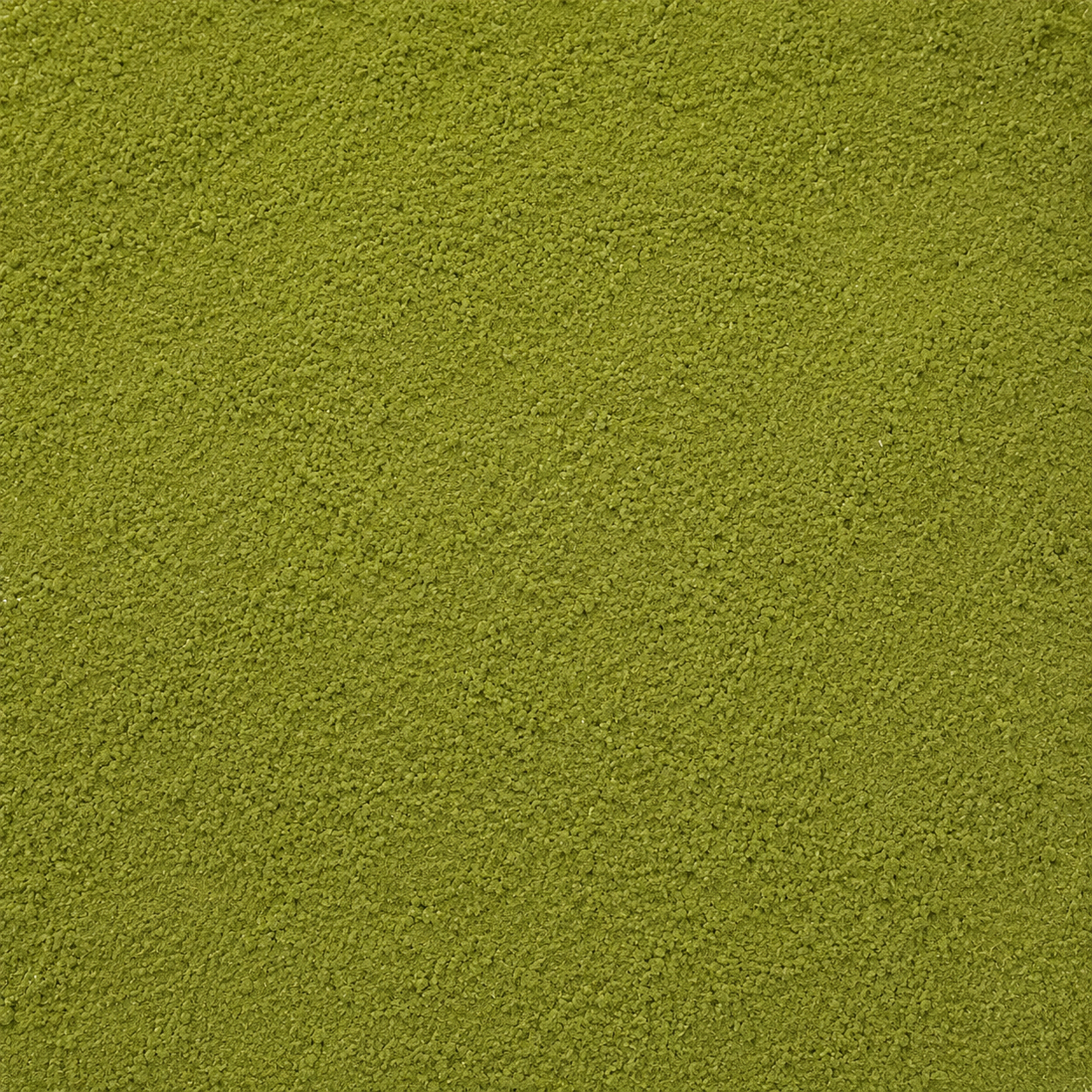 Epazote Herb Powder