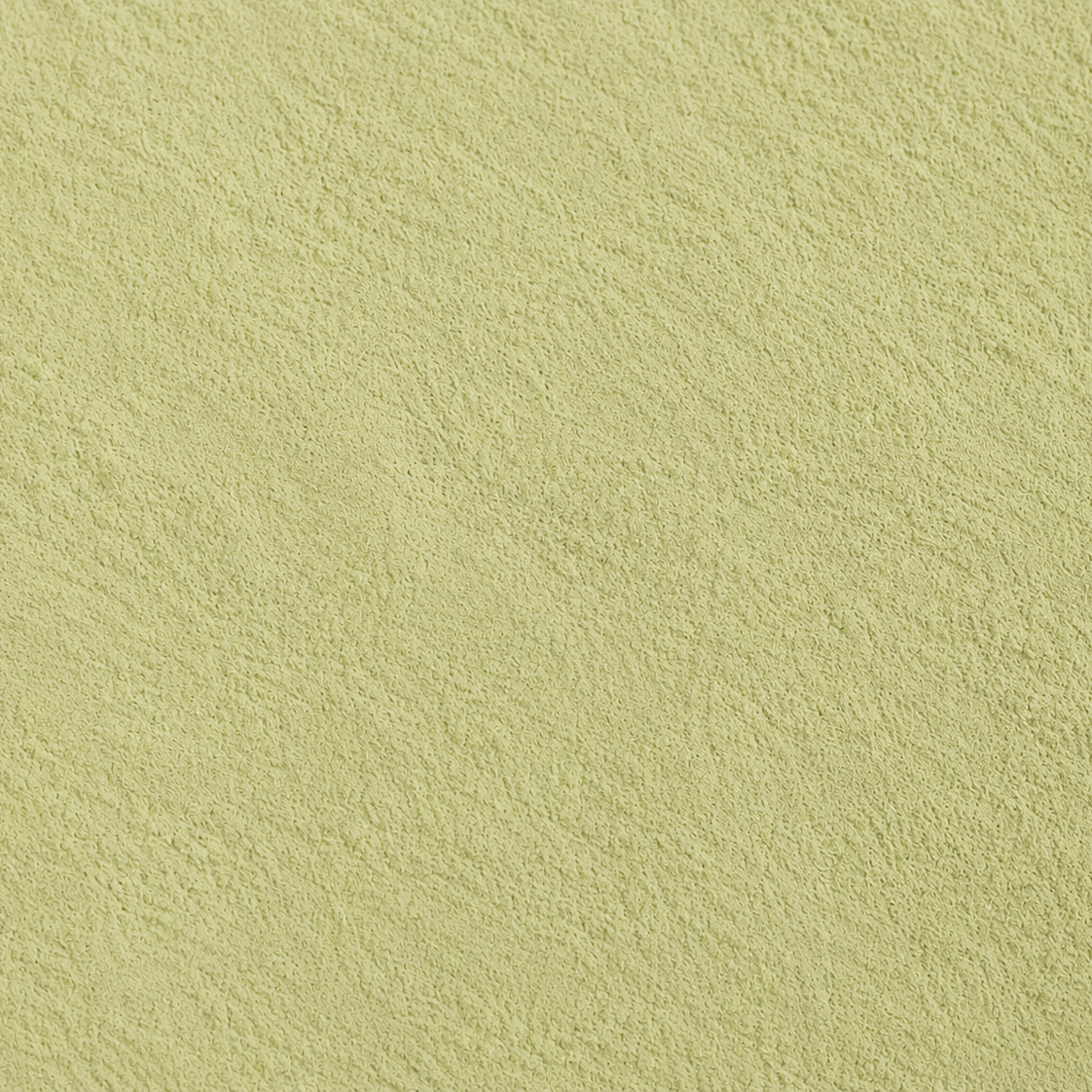 Eucalyptus Leaves Powder