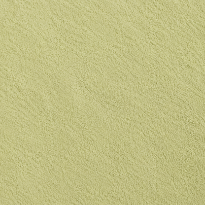 Eucalyptus Leaves Powder