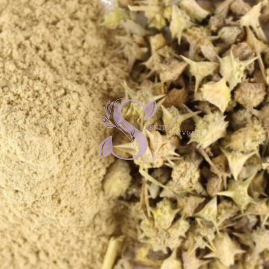 Gokshura Powder (Tribulus terrestris)  (Puncture Vine)