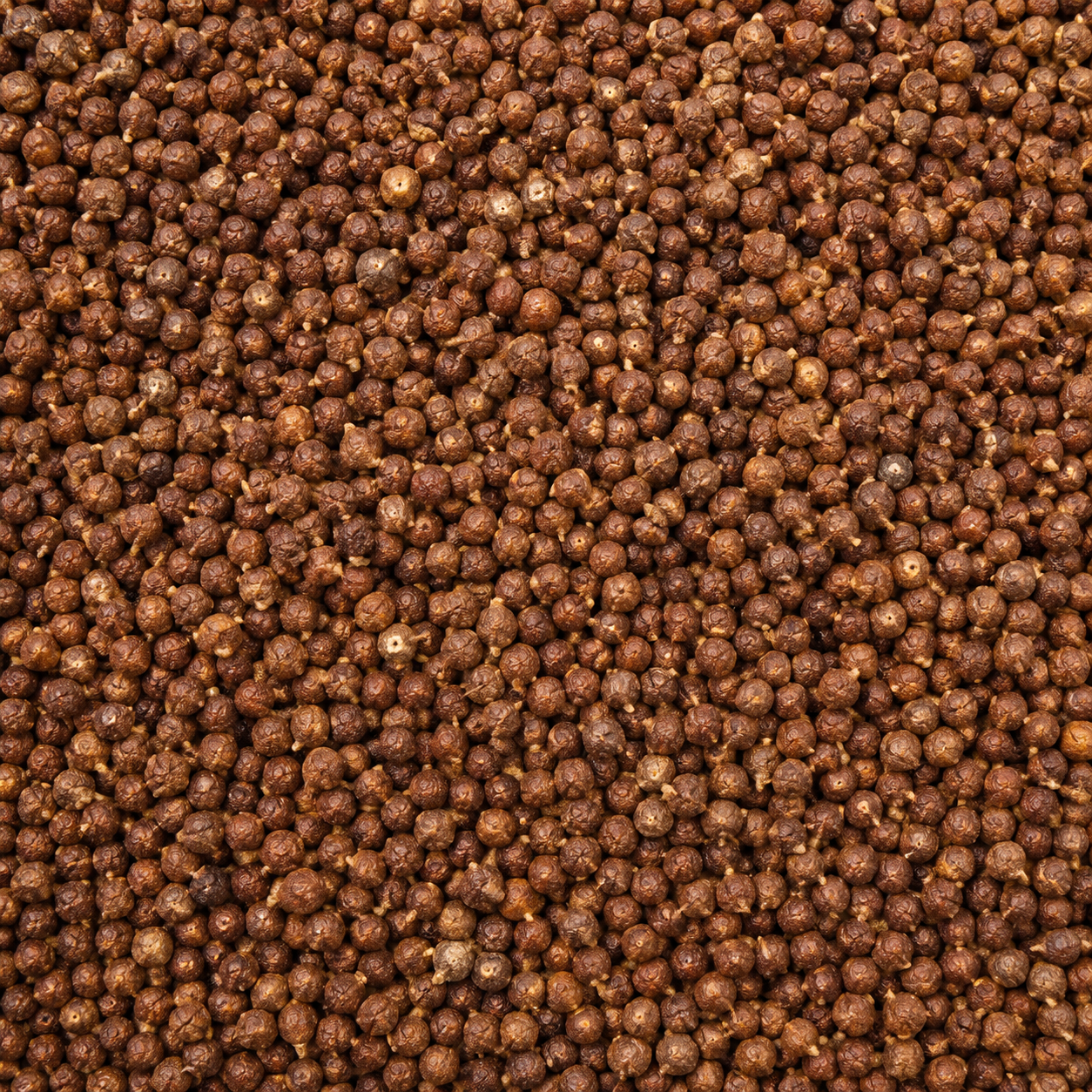 Grain Of Paradise Whole