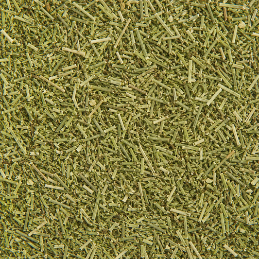 Horsetail (Shavegrass) C/S